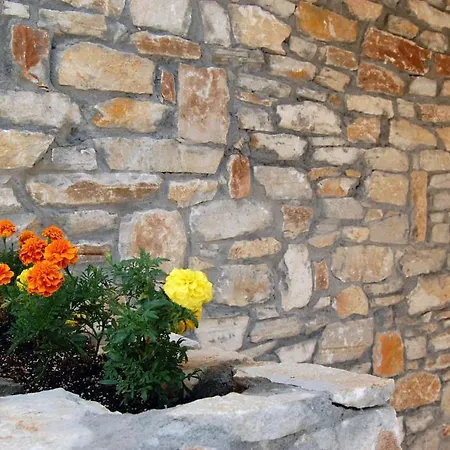 Apartament Neorion *